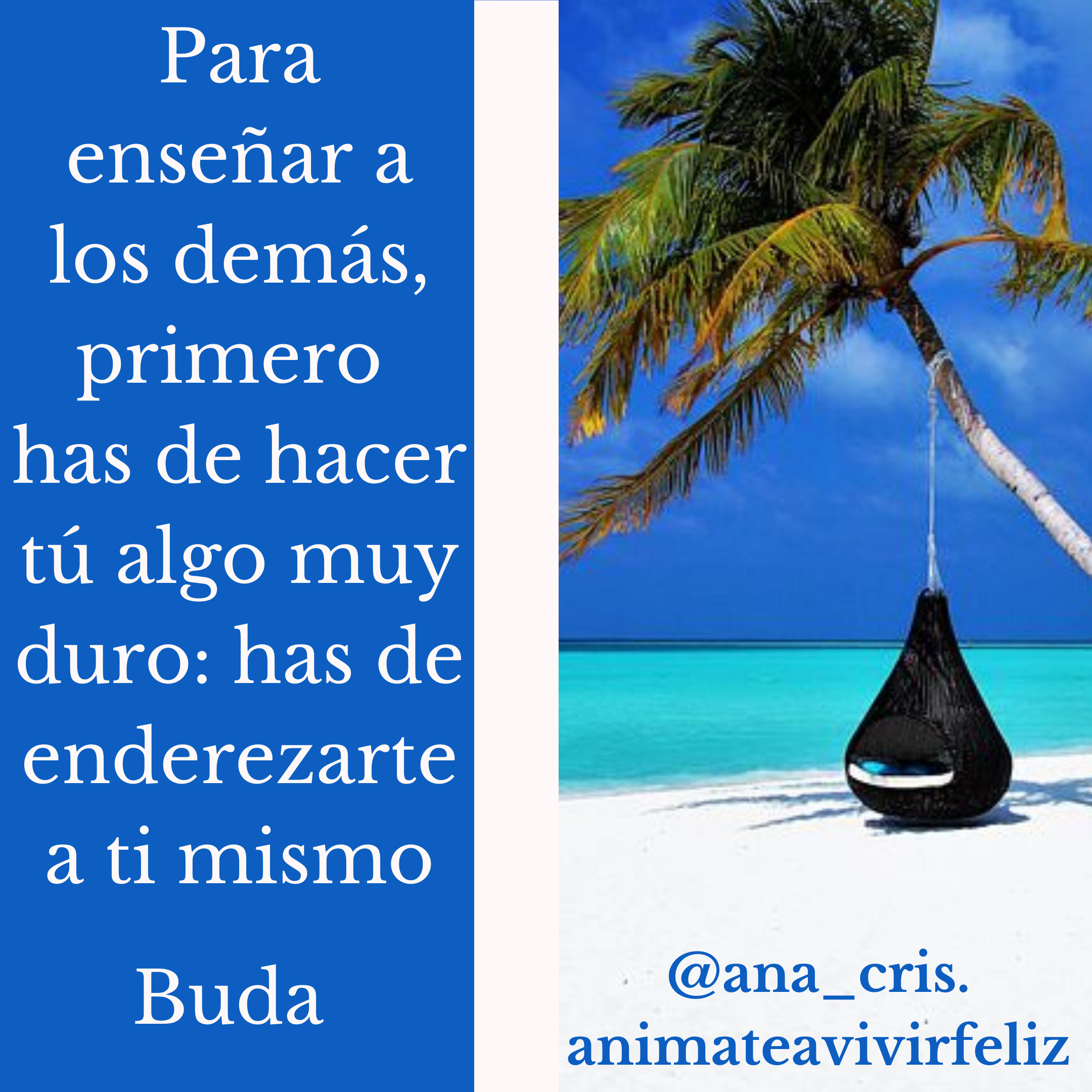 Anímate a vivir feliz – La felicidad está en ti. No busques fuera lo ...